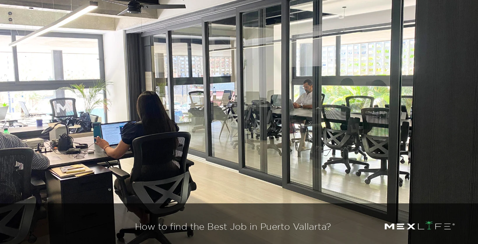 Finding the best job in Puerto Vallarta