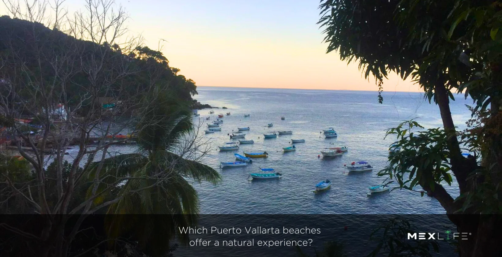 Puerto Vallarta Beaches offer a Natural Experience