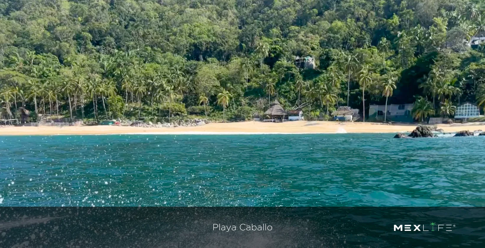 Puerto Vallarta Playa Caballo