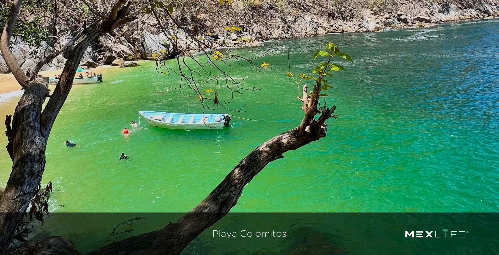 Puerto Vallarta Playa Colomitos