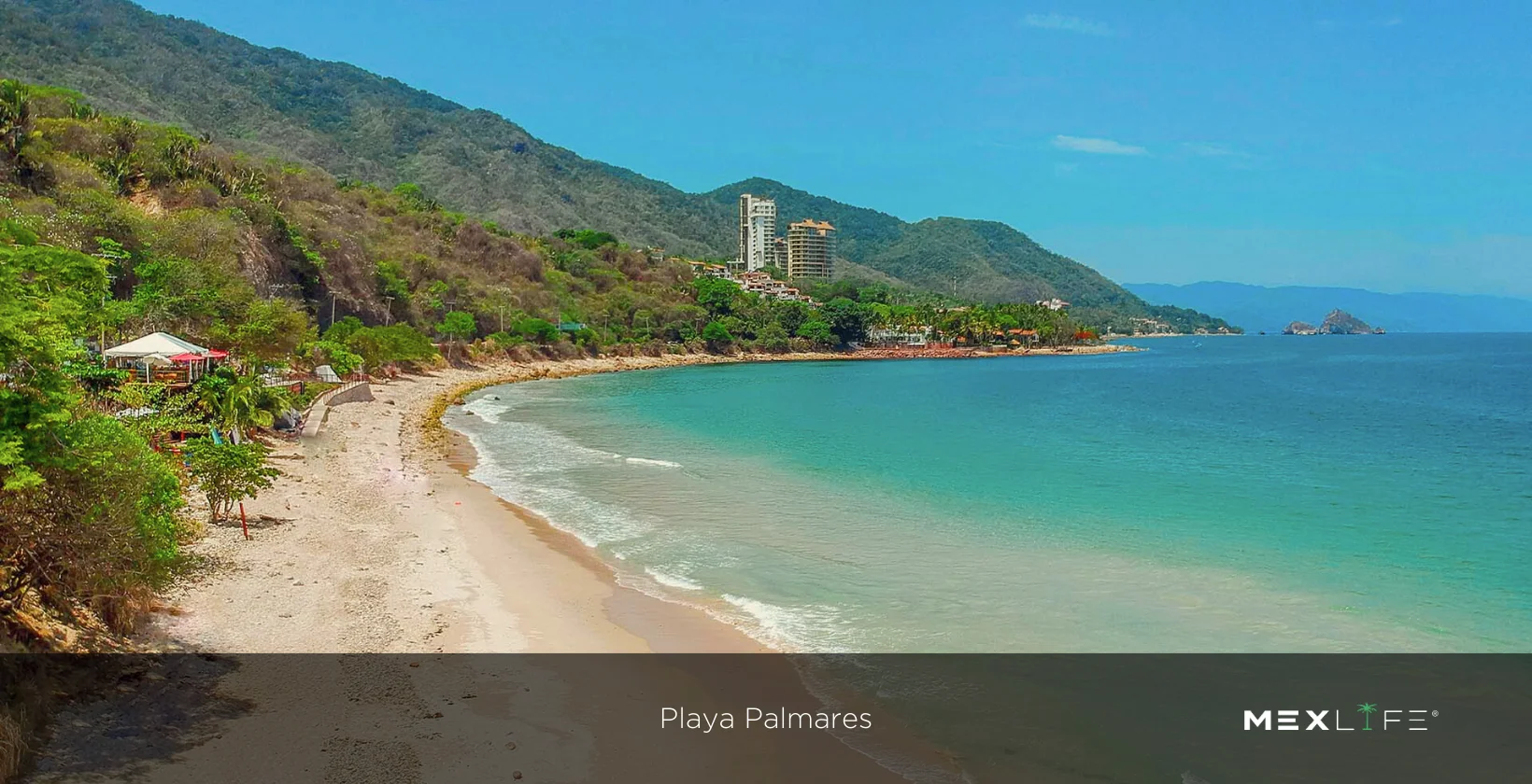 Puerto Vallarta Playa Palmares