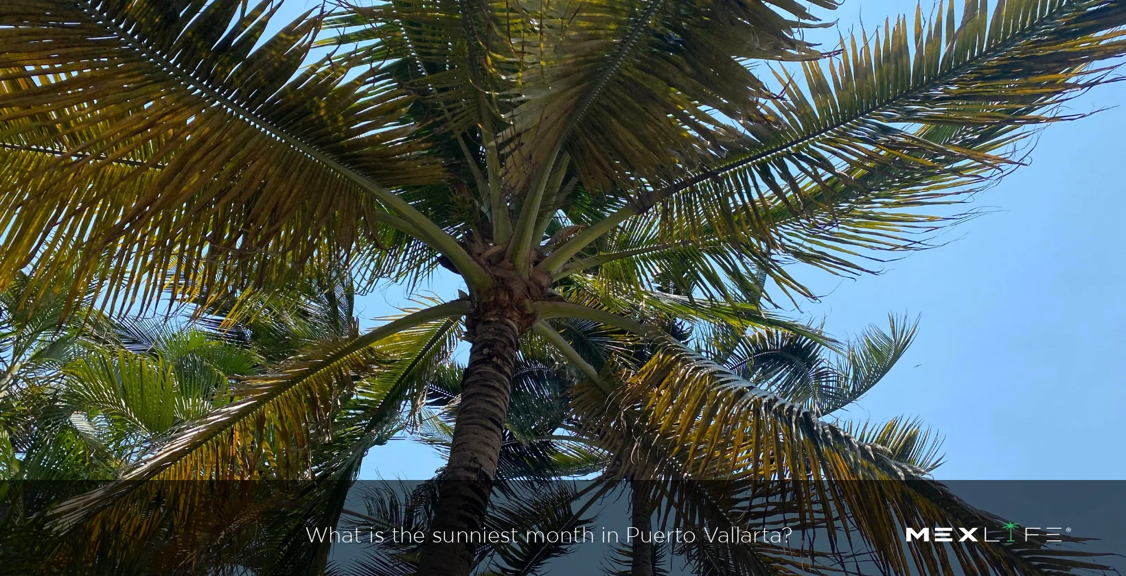 Puerto Vallarta Sunny Days