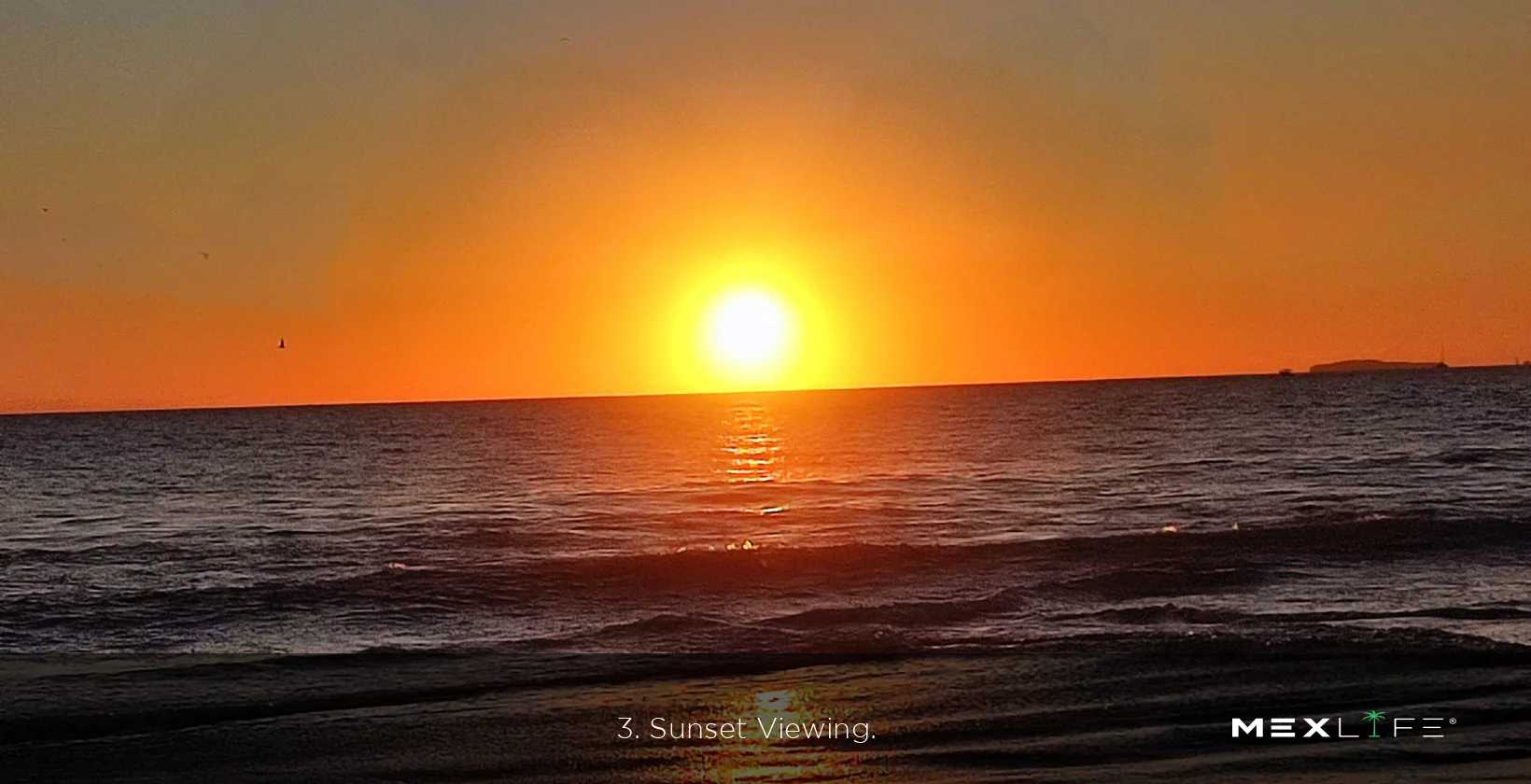 Puerto Vallarta Sunset Viewing