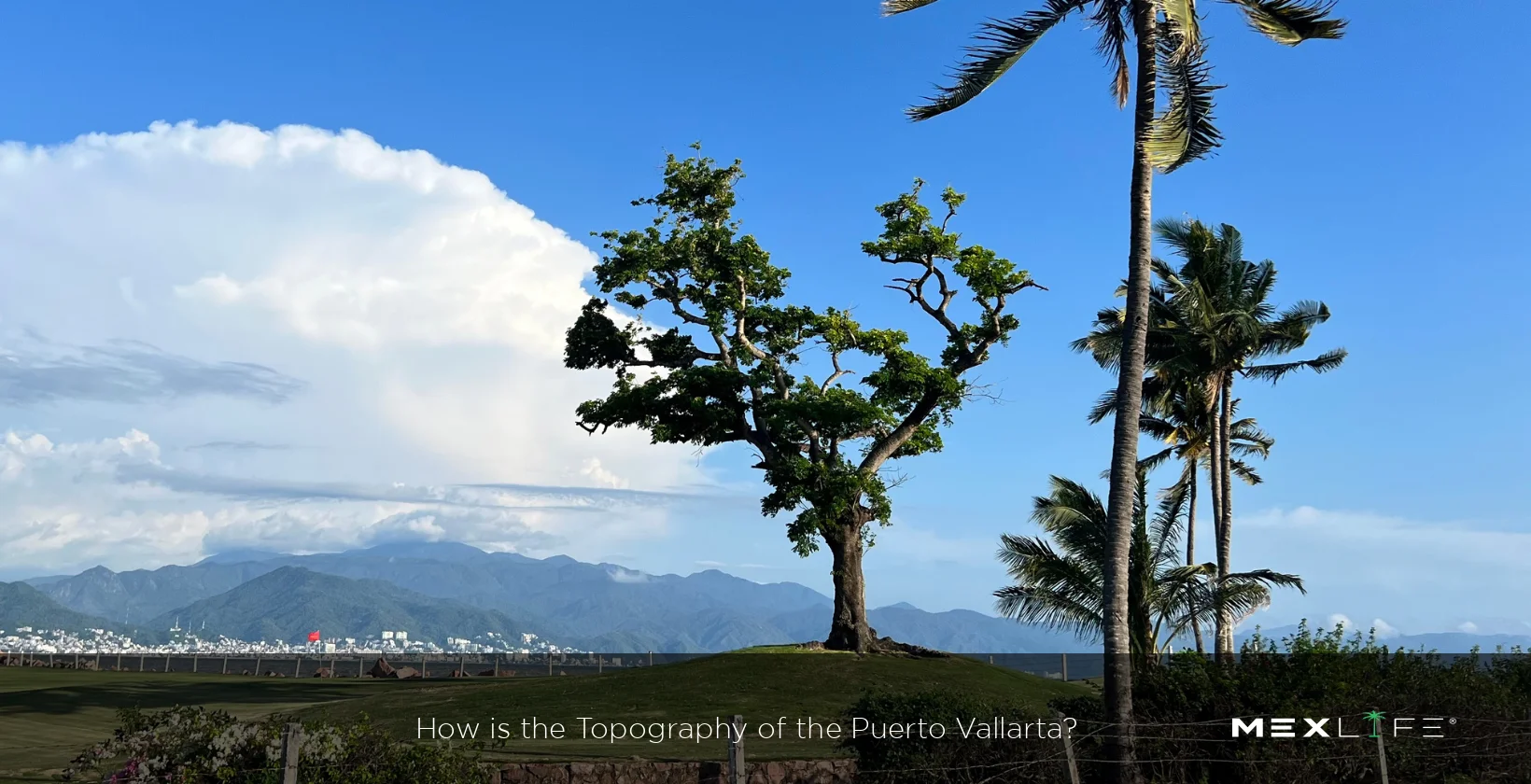 Puerto Vallarta Topography