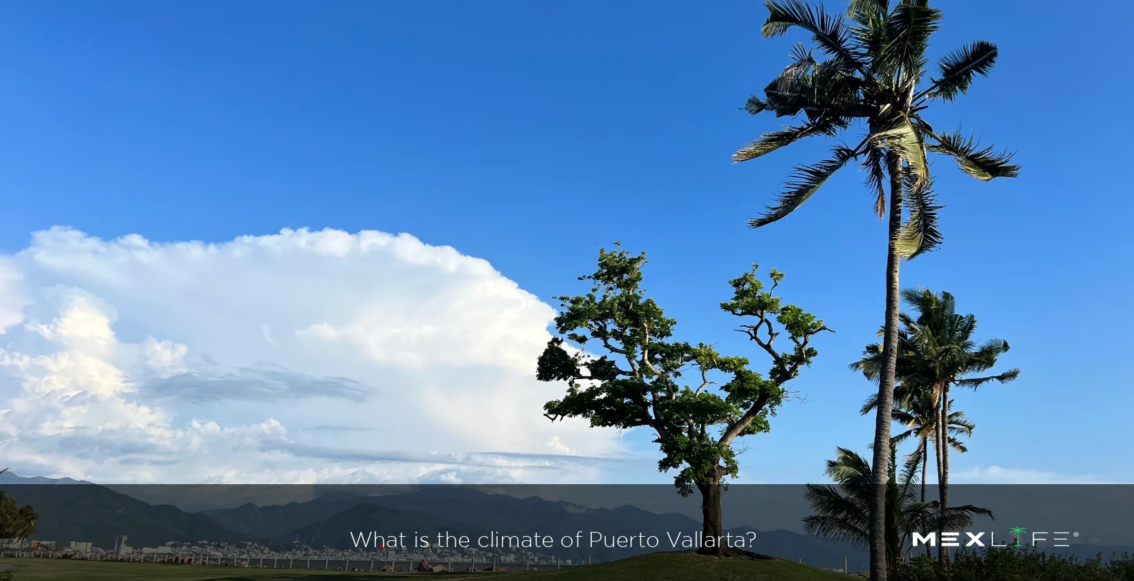 Puerto Vallarta Weather Conditions