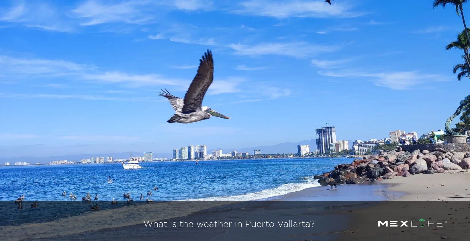 Puerto Vallarta Weather Forecast