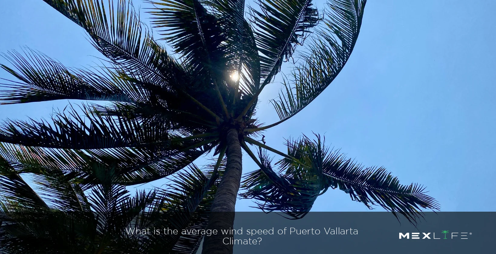 Puerto Vallarta Wind Speed