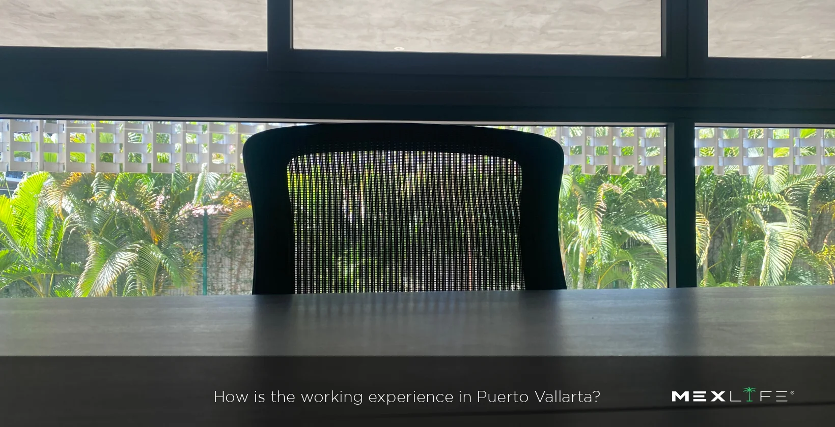 Puerto Vallarta Working Experience