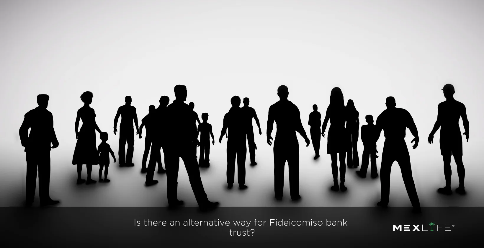 Alternative options to fideicomiso bank trust