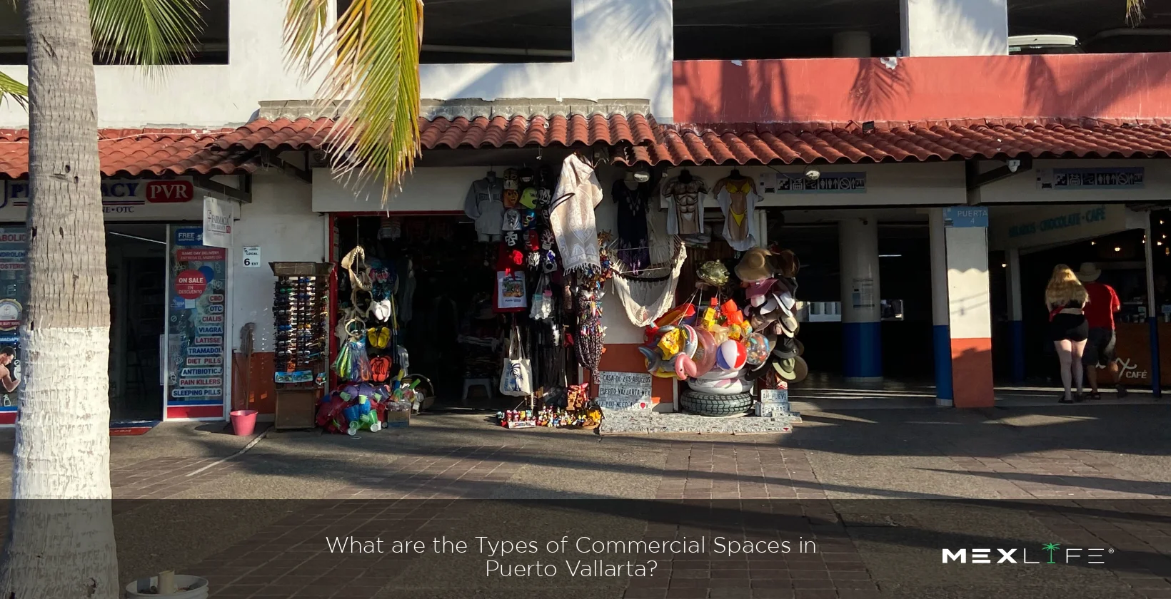 Puerto Vallarta Types of Commercial Spaces