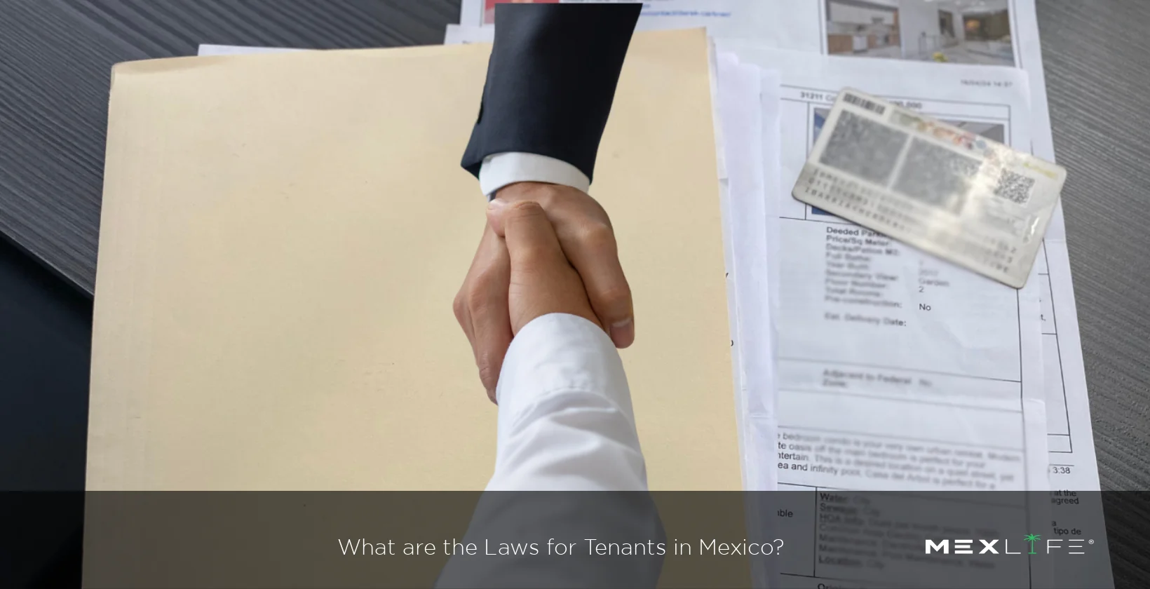 Mexico Laws for Tenants