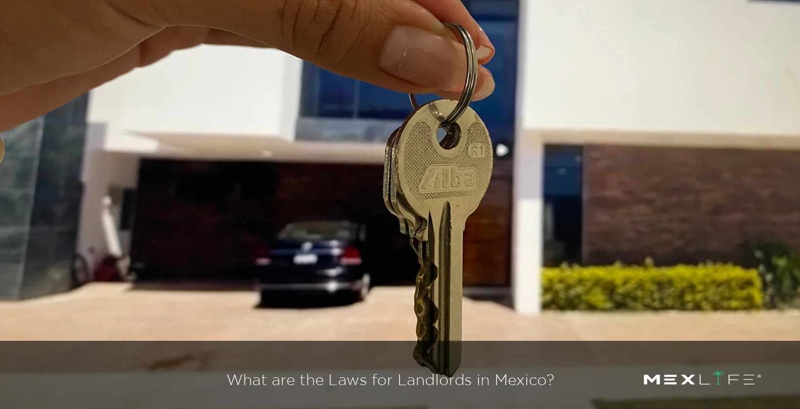 Laws for Landlords Mexico