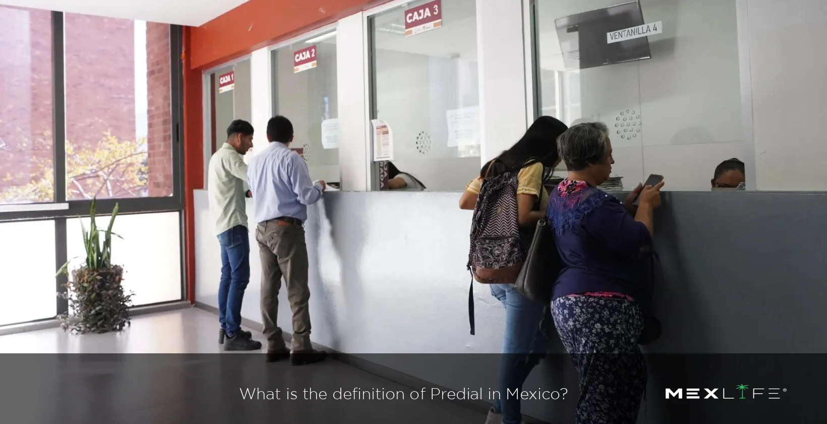 Mexico Definition Of Predial