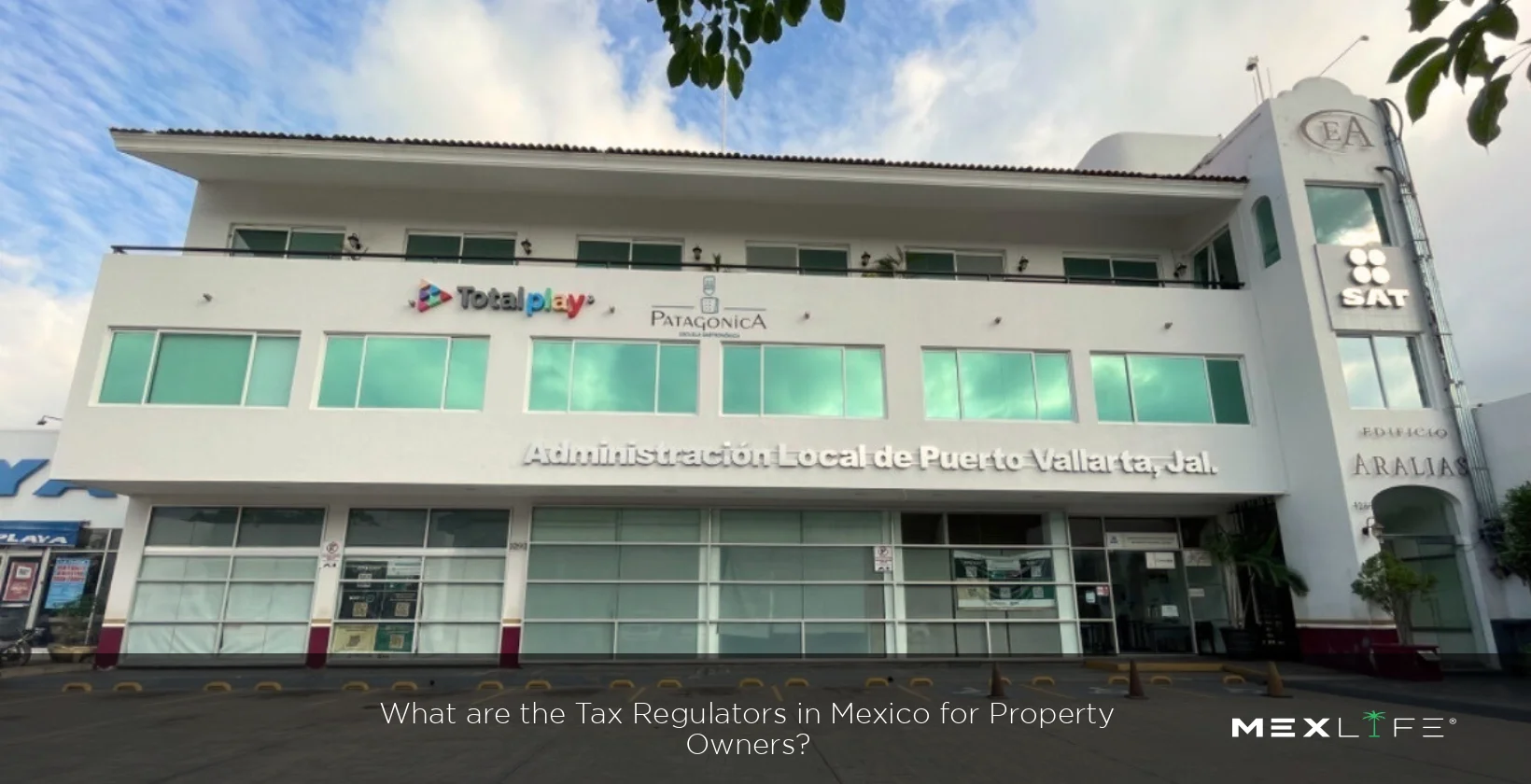 Tax Regulators In Mexico For Owners